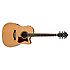 V74ECE-OPN Ibanez