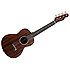 Ukulele Pa'ina Fender