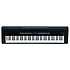 FP80BK Roland