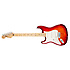Stratocaster Plus Top Aged Cherry Sunburst Gaucher Fender