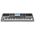PA900 Korg