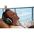 AH-D600 Music Maniac Denon