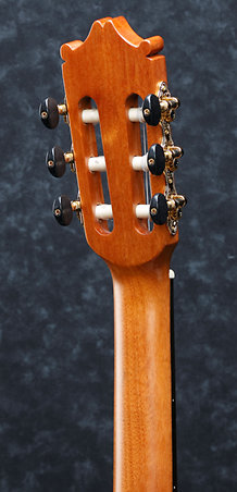 GM600CE-NT - natural Ibanez