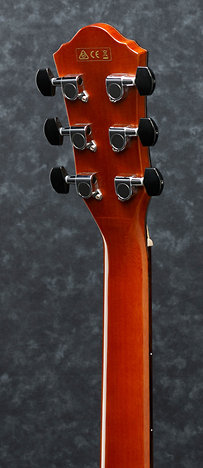 AEW23MV-NT - Natural High Gloss Ibanez