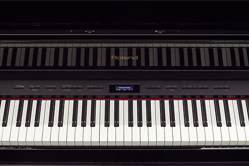 HP508-PE Roland