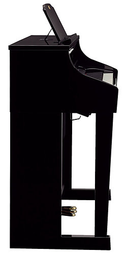 HP508-PE Roland