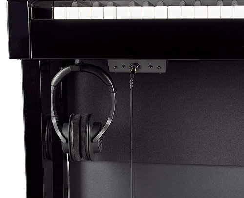 HP508-PE Roland