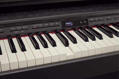 DP90E-CB Roland