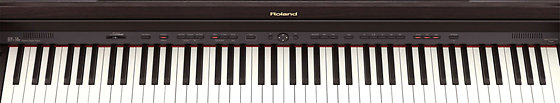 HPi-50-ERW Roland