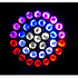 QWASH 436Z Chauvet DJ