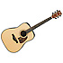 AW500-NT - natural high gloss Ibanez