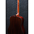 AW500-NT - natural high gloss Ibanez