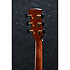 AW500-NT - natural high gloss Ibanez