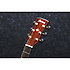 AW500-NT - natural high gloss Ibanez