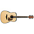 AW500-NT - natural high gloss Ibanez