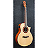 AEW23MV-NT - Natural High Gloss Ibanez