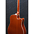 PF15LECE-NT - Gaucher - Natural Ibanez