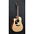 PF15LECE-NT - Gaucher - Natural Ibanez