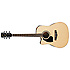 PF15LECE-NT - Gaucher - Natural Ibanez