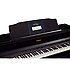 HP508-PE Roland