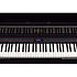 HP508-PE Roland