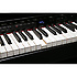DP90SE-PE Roland