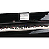 DP90SE-PE Roland