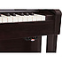 HPi-50-ERW Roland