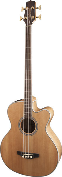 GB72CE-NAT Takamine