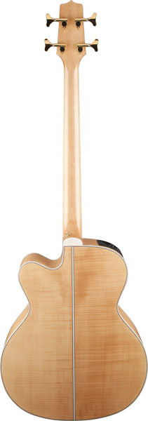 GB72CE-NAT Takamine