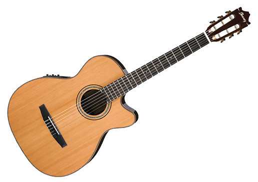 Ibanez GM500CE-NT