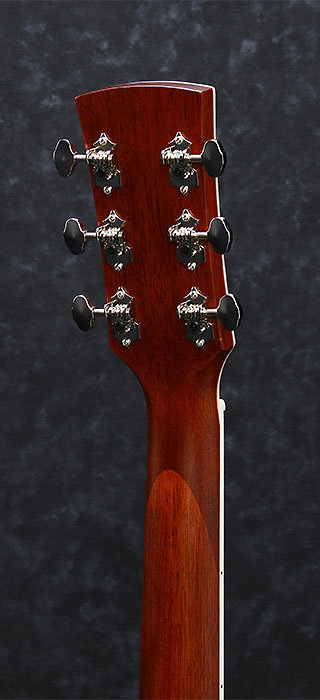 AVN1-BS Ibanez