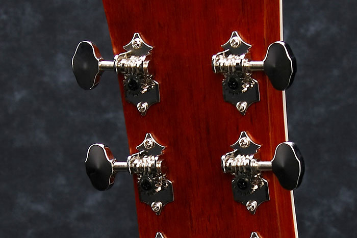 AVN1-BS Ibanez