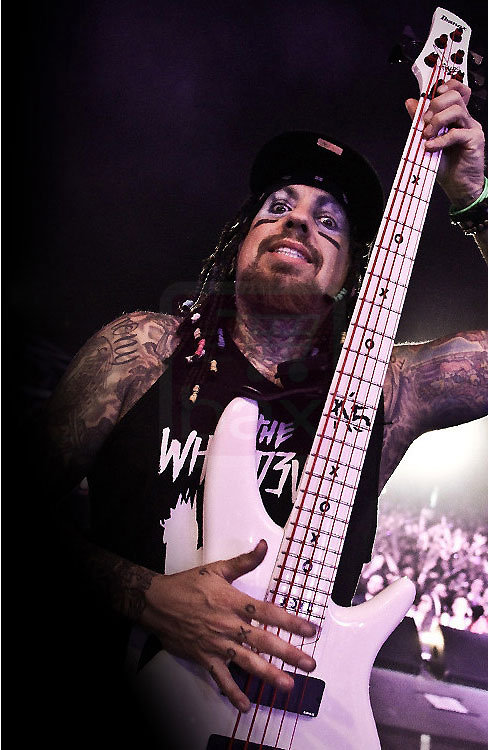 Ibanez K5WHLTD 20th Anniversary Korn Fieldy Signature LTD