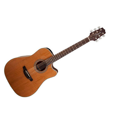Takamine GD20-CE