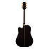 GD71CE-BSB Takamine