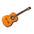 GC5-NAT Takamine