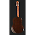 GC5-NAT Takamine