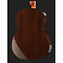 GC5-NAT Takamine