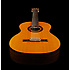 GC5-NAT Takamine