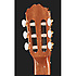 GC5-NAT Takamine