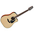 GD10CE-NS Takamine