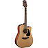 GD10CE-NS Takamine