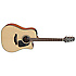GD10CE-NS Takamine