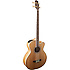 GB72CE-NAT Takamine
