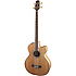 GB72CE-NAT Takamine