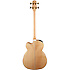 GB72CE-NAT Takamine