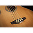 GB72CE-NAT Takamine