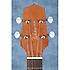 GU-T1 Takamine