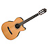 GM500CE-NT Ibanez